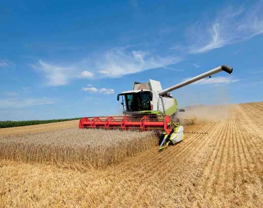 Global fertilizer outlook
